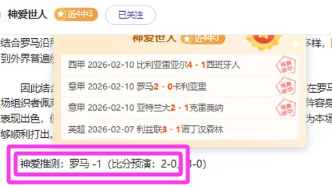 大乐透期号专家质合分析推荐：德乙24场胜率75实至名归