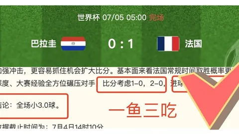 赢彩网 064045 3